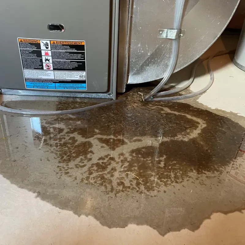 Appliance Leak Cleanup in Williamsburg, KY