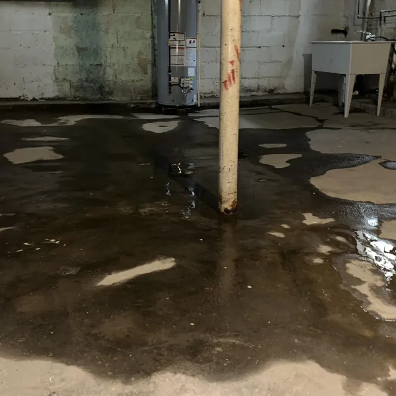 Emergency Water Extraction And Removal in Williamsburg, KY